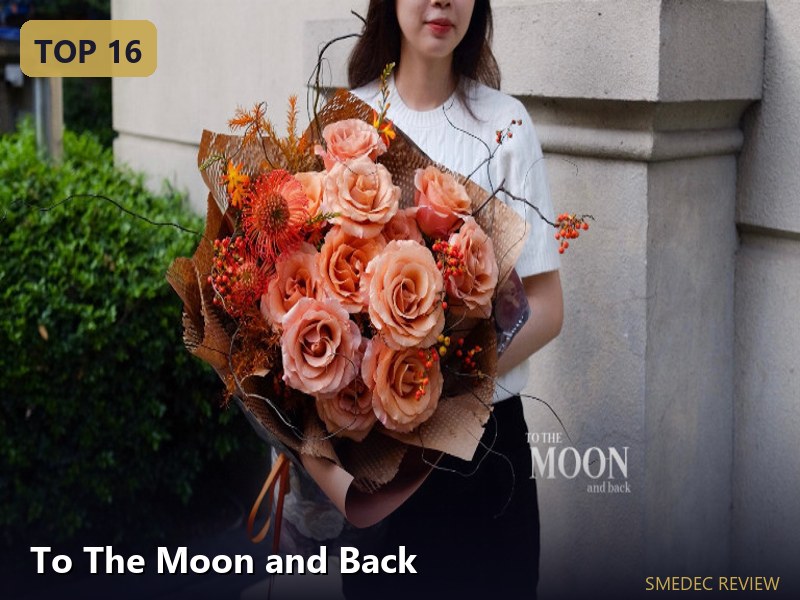 To The Moon and Back