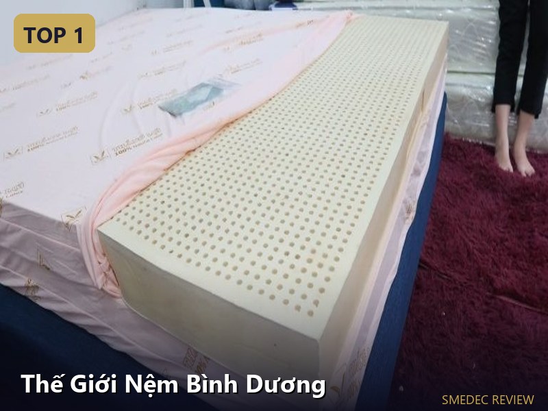 Thế Giới Nệm Bình Dương