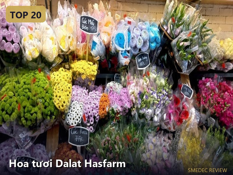 Hoa tươi Dalat Hasfarm