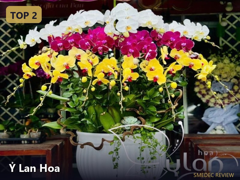 Ỷ Lan Hoa