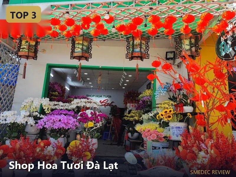 Shop Hoa Tươi Đà Lạt