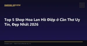 Top 5 Shop Hoa Lan Hồ Điệp ở Cần Thơ Uy Tín, Đẹp Nhất 2026
