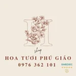 Top 5 Shop Hoa Tươi Tại Huyện Phú Giáo Đẹp Giao Nhanh 2026