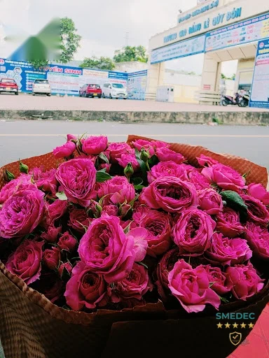 HT Florist Dĩ An